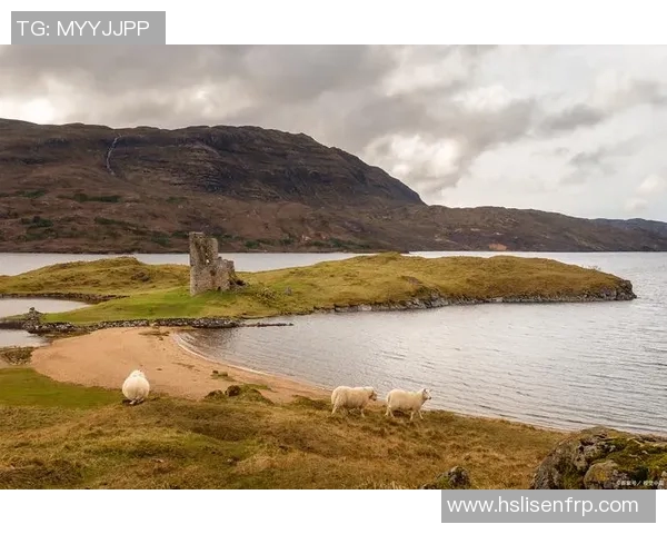 特拉斯卡拉的魅力探索：文化遗产与自然风光的完美融合之旅